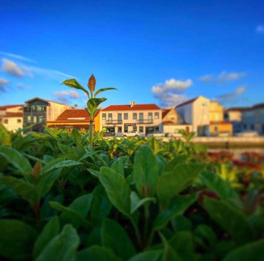 Up Tree Nature Rooms Aveiro Ngoại thất bức ảnh